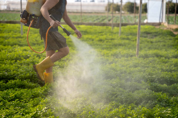 Best Affordable Pest Control Services  in Red Bank, SC