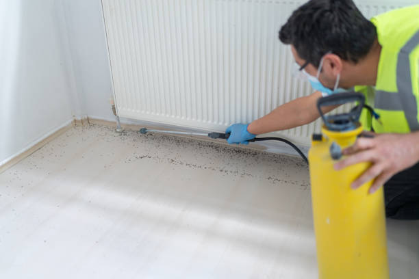 Professional Pest Control in Red Bank, SC