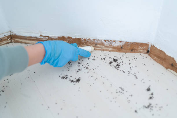 Best Commercial Pest Control Services  in Red Bank, SC